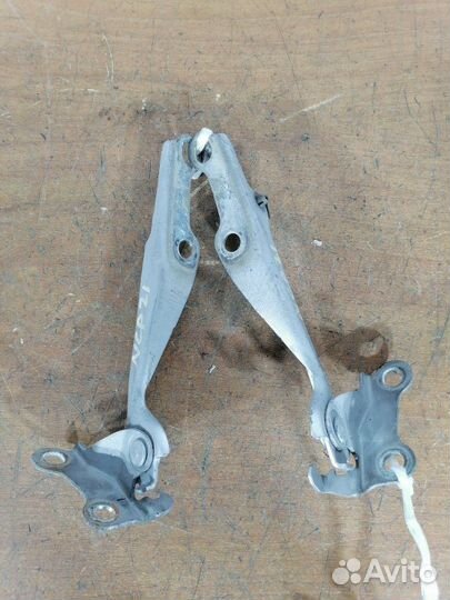 Петля капота Toyota Funcargo NCP21 1nzfe 2000