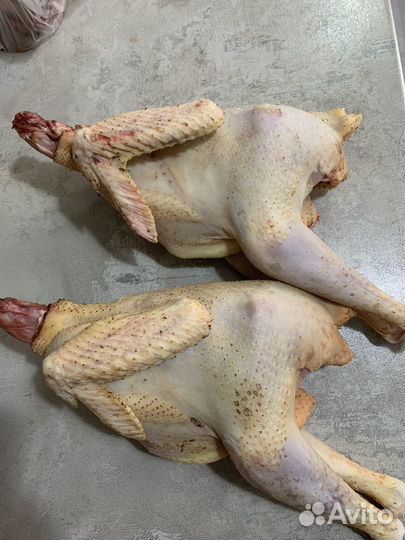 Мясо домашних петушков