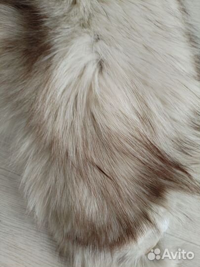 Меховой воротник песец