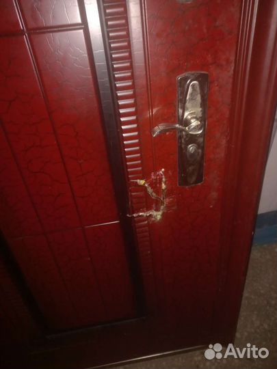 Дверь входная металлическая с зеркалом