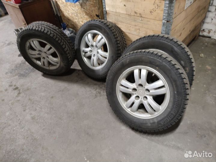 Колоса зимнии