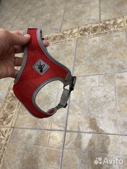 Аксесуары для собак