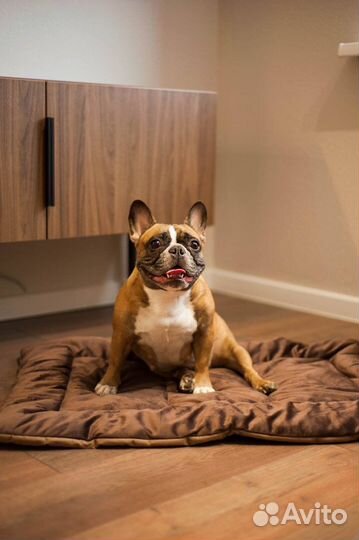 Лежанка для средних собак и мелких оптом