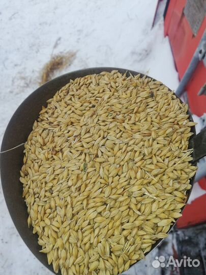 Корма для с/х животных