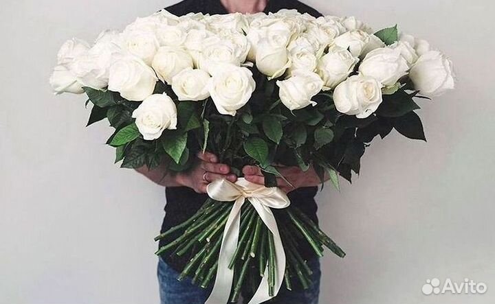 Высокие розы Гигантские розы 110