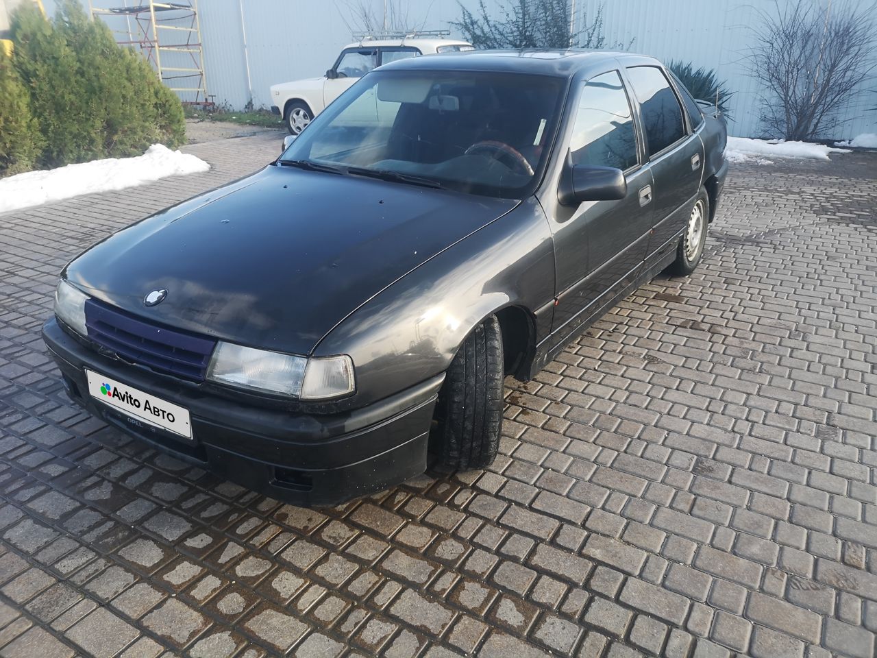 Opel Vectra: фото владельца