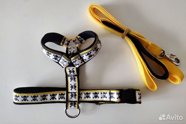 Амуниция и одежда для собак