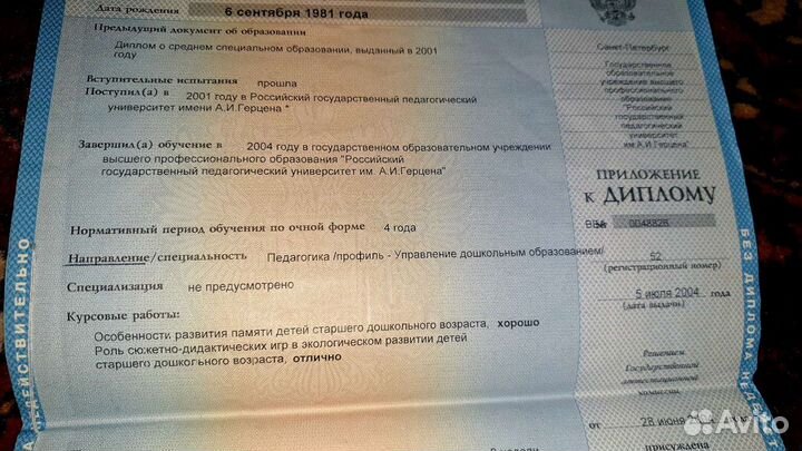 Автоняня/Сопровождающая