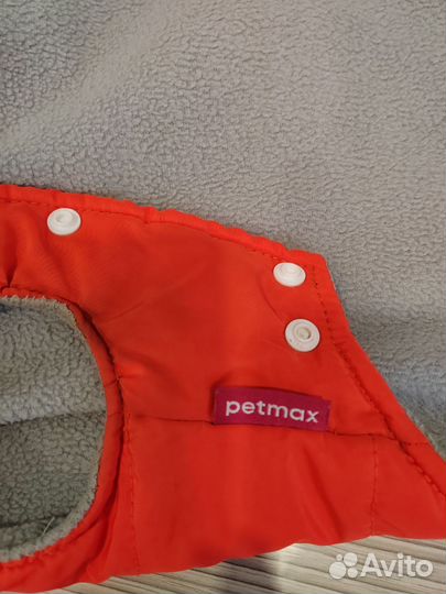 Одежда для собак