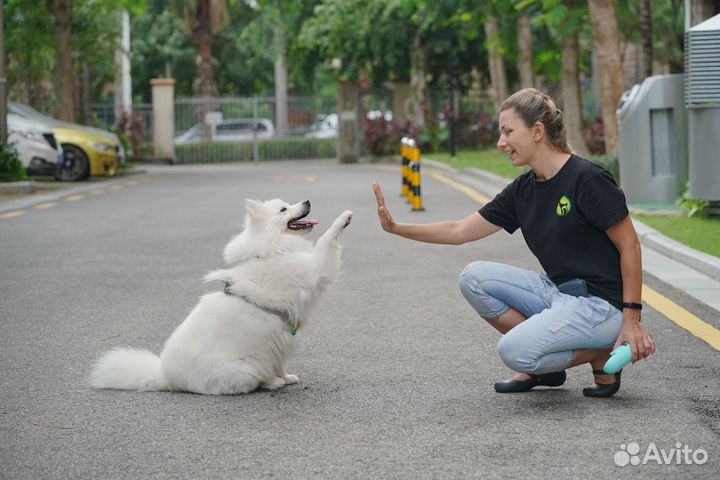 Зоопсихолог/собаки,кошки,экзотические виды