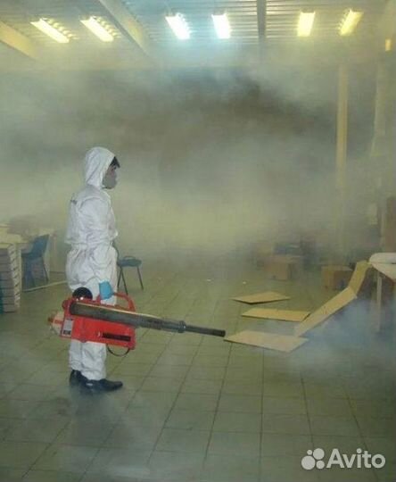 Уничтожение клопов, травить тараканов. Дезинфекция