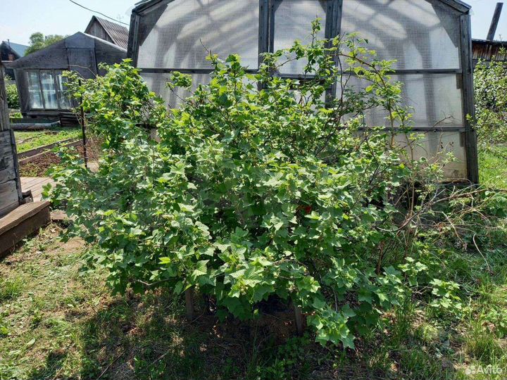 Дом 20 м² на участке 8 сот.