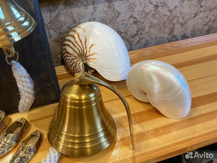 Редкие Кораллы Якоря и Штурвалы Рынды