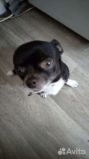 Мальчик ищет девочку