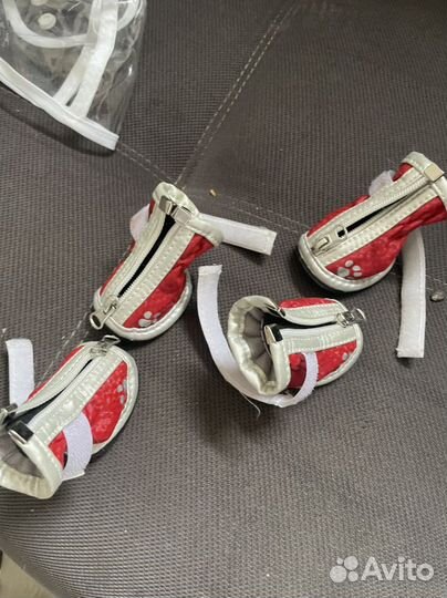 Одежда доя собак