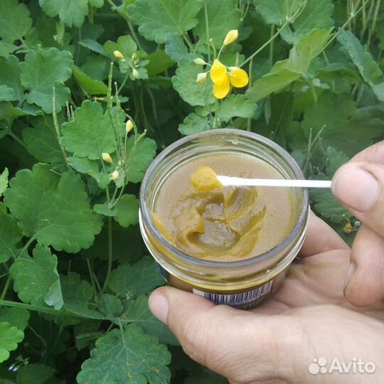 Мазь из чистотела