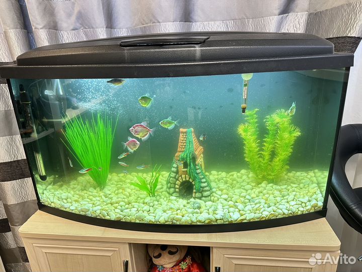 Аквариум с тумбой