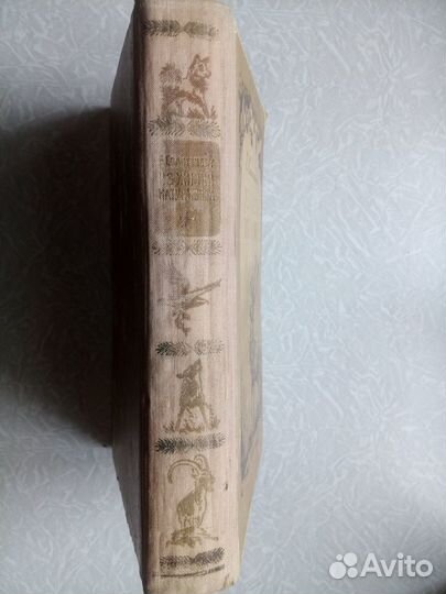 Спангенберг. Из жизни натуралиста. 1955 год