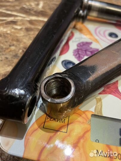 Eclat Cortex Freecoaster lhd