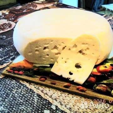 Сыр из козьего и коровьего молока