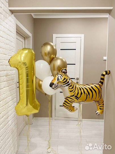 Шар на гендер pati