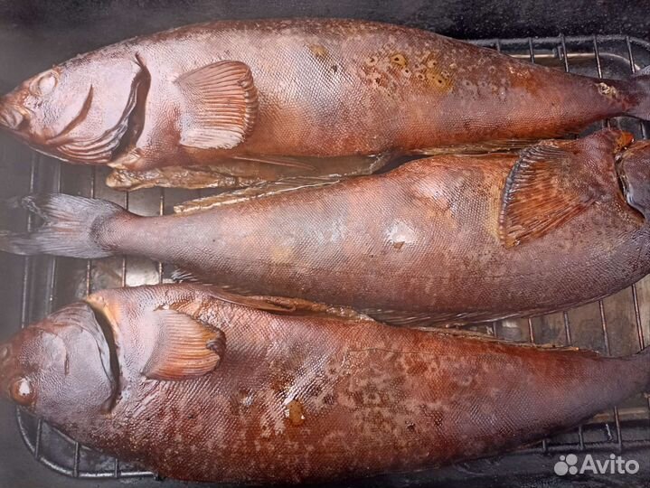 Рыба горячего копчения