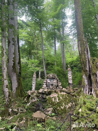 Пещера, привидения и чай: авторский тур по Сочи