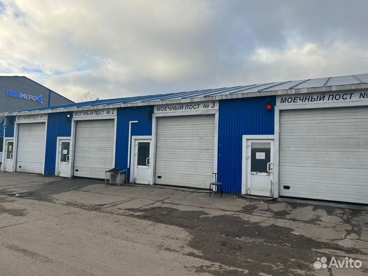 Мойшик с проживанием