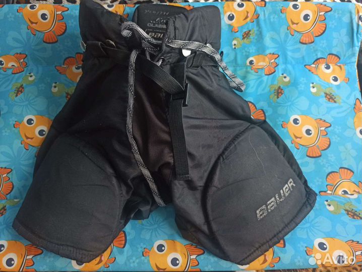 Хоккейные шорты (трусы) bauer nexus