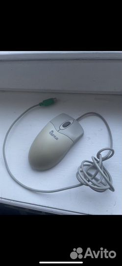 Мышь