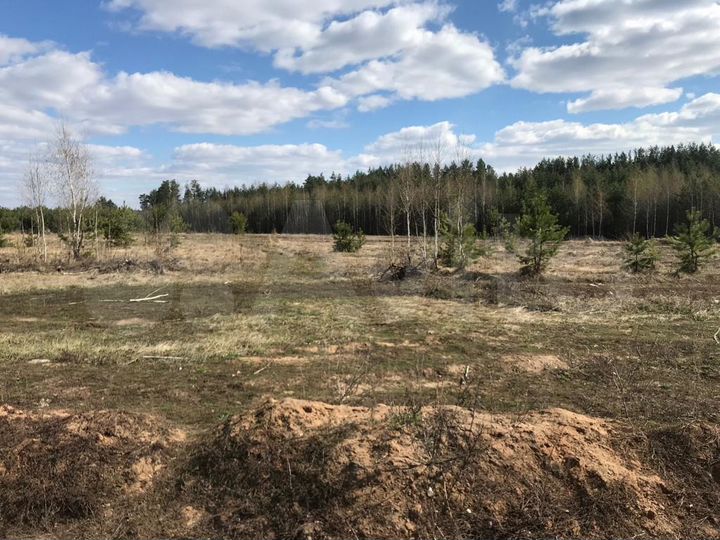 Участок 4,1 га (ИЖС)