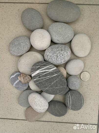 Морские камни