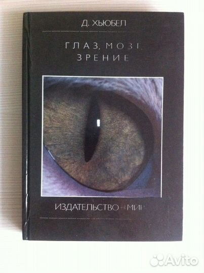 Глаз, мозг, зрение