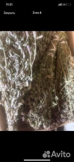 Эвкалипт сер, Веники, травы (запарки для бани)