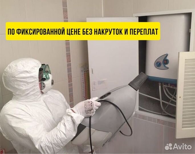 Уничтожение клопов, тараканов, мышей, муравьев