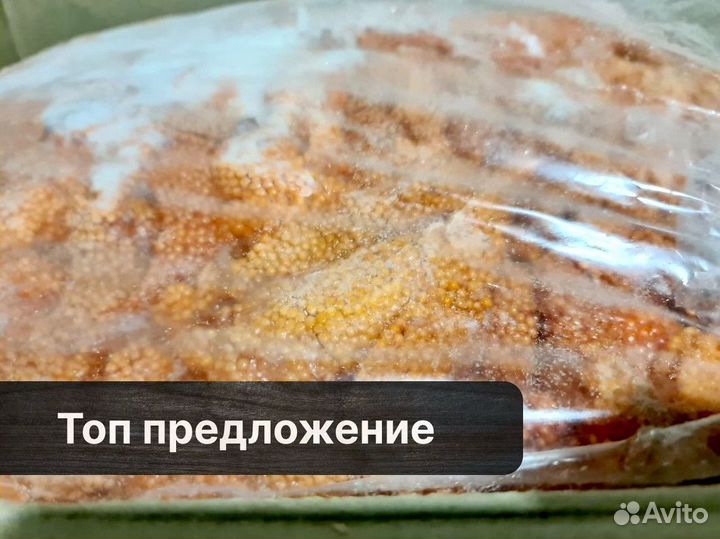 Красная Икра в Ястыках