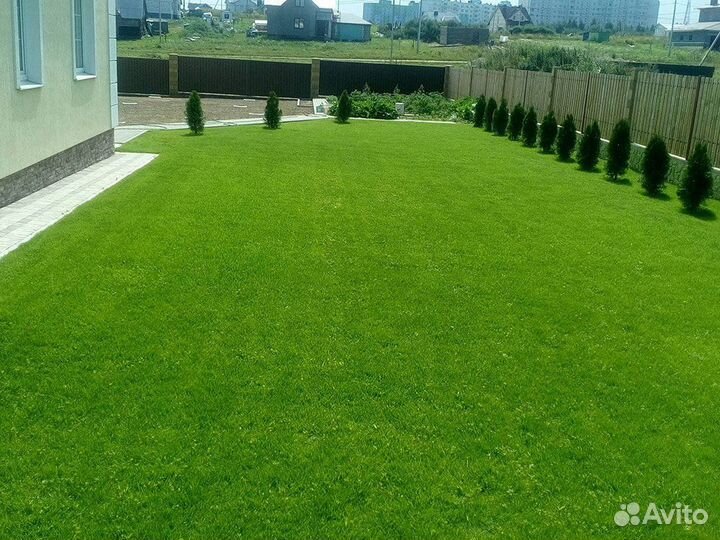 Рулонный газон от производителя