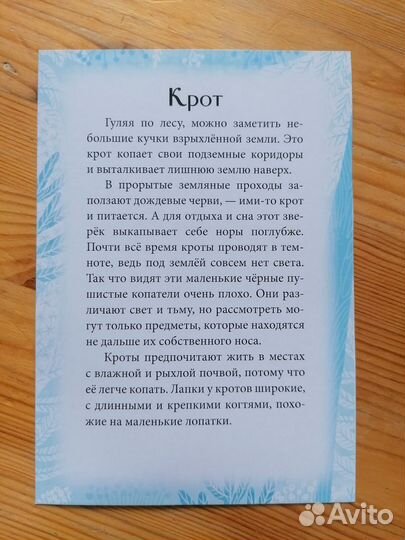 Адвент-календарь миф