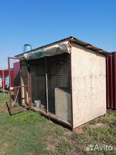 Вольер для собак бу уличный