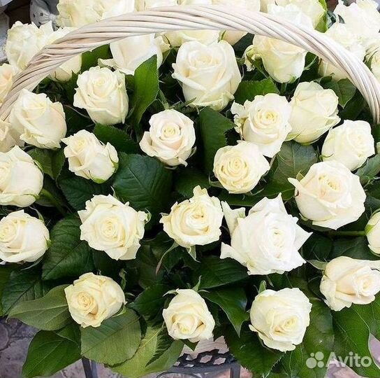 Розы Цветы Букеты 25 151 201 101 301 501 опт