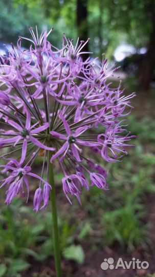 Мобильная фотосессия