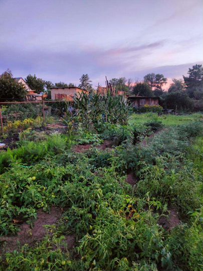 Дача 20 м² на участке 7 сот.