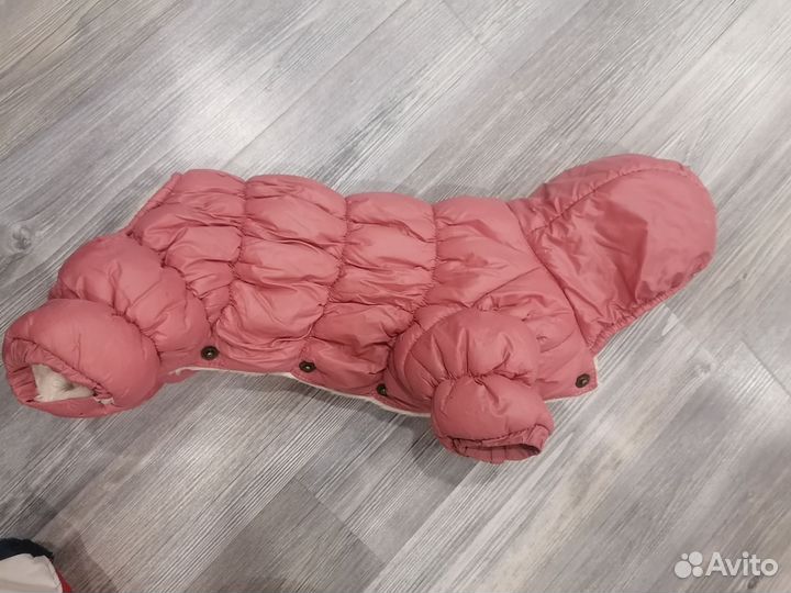 Одежда для маленьких собак зимняя