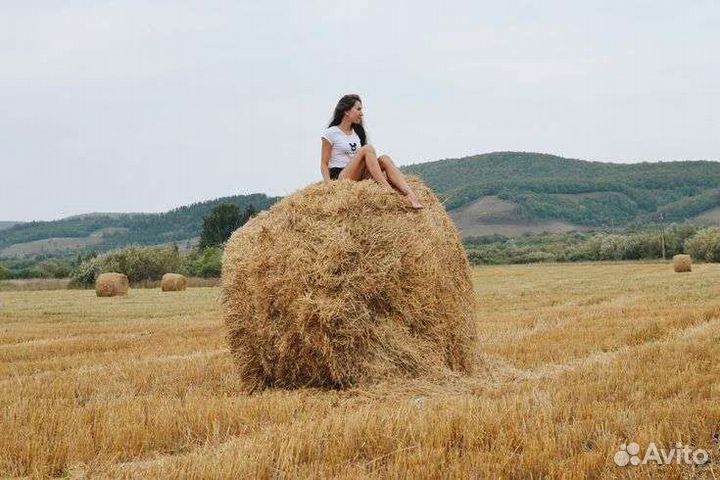 Сена в тюках