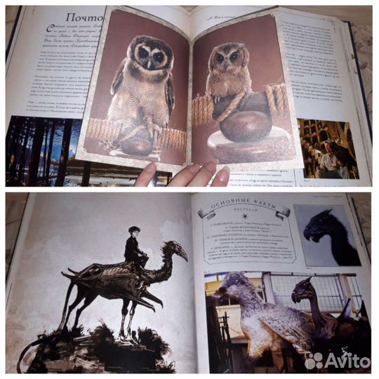 Красочные книги Гарри Поттер с вложениями