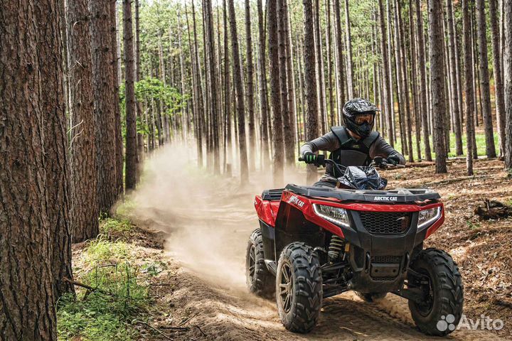 Прокат аренда квадроциклов, багги, эндуро