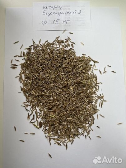 Семена кострец