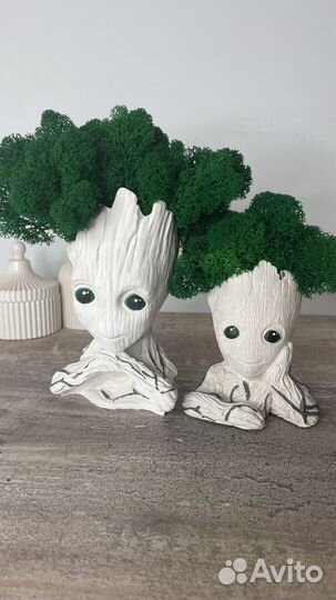 Кашпо со мхом Грут большой