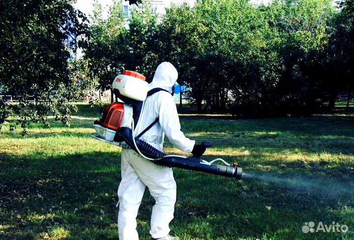 Уничтожение клопов тараканов грызунов плесени