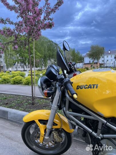 Ducati Monster 800